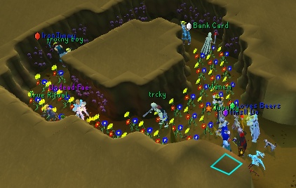Au OSRS clan amethyst miners mass event